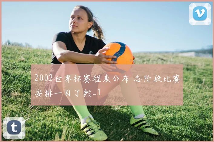 2002世界杯赛程表公布 各阶段比赛安排一目了然_1