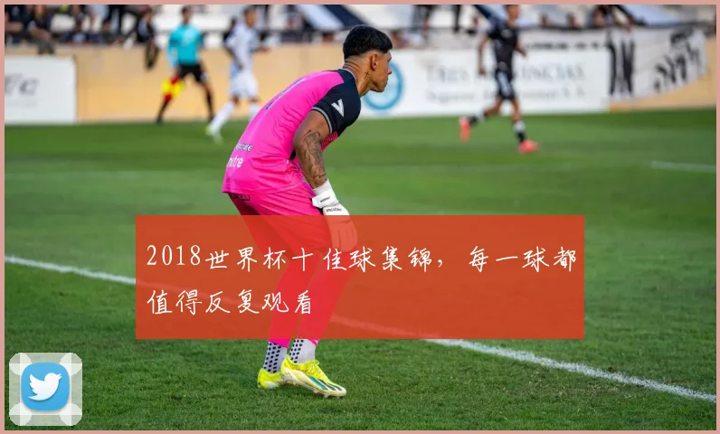 2018世界杯十佳球集锦，每一球都值得反复观看