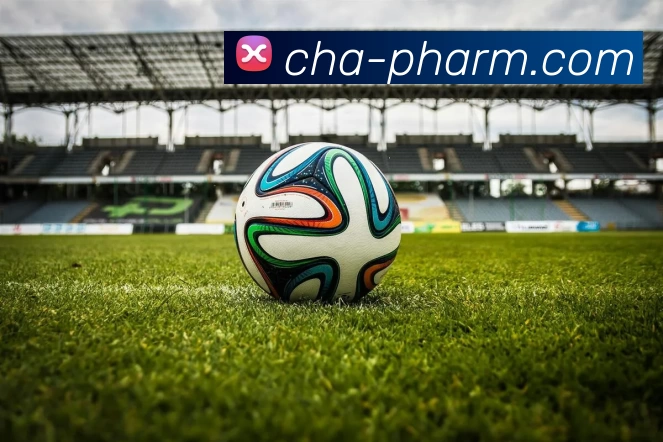 mksports官网登录入口平台生态图